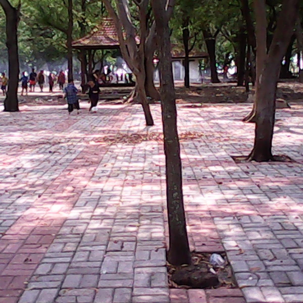 hanaelvirarosa's profile picture. 