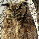 Patrick Sutton - @PatrickPs50 - Twitter