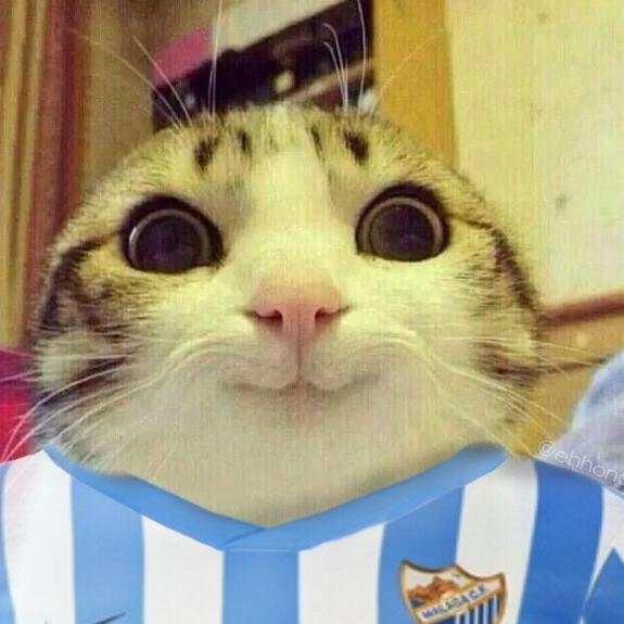 Malaguista   VOLVEREMOS A PRIMERA! VAMOS MALAGA