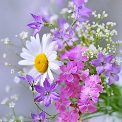 心に残るお話 猫ヤクザ相関図 よくできてるw Http T Co Ytr6gipvsd Http T Co Kaby7bolv7 心に残るお話 猫ヤクザ相関図 よくできてるw Http T Co Ytr6gipvsd Http T Co Kaby7bolv7