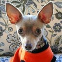 Patrick kendall - @patrickdkendall - Twitter