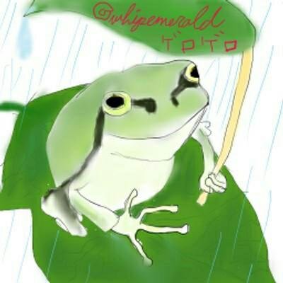ほゐさんのプロフィール画像