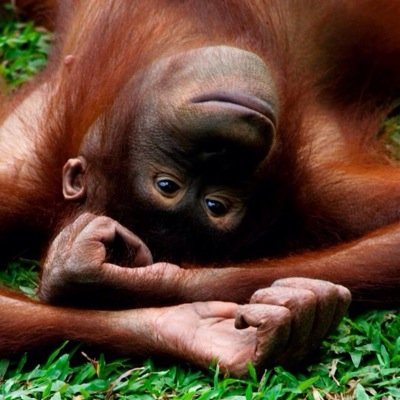 pauliepaul79's profile picture. 