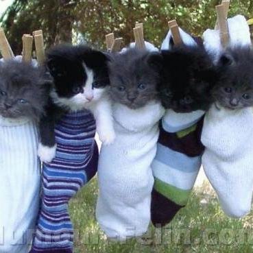 elsa77521's profile picture. #follow back