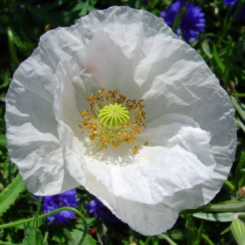 allenshull's profile picture. This place is garbage. Go here:

https://t.co/fDwv6qJ5gJ