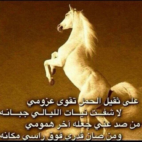 الثقه بالنفس وقوة الإرادة سلاح الأنتصار على إحباط الاخرين لك 👌🏻