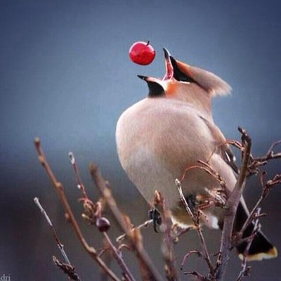 sudfa12's profile picture. 