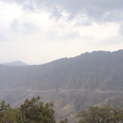 saud130786's profile picture. 