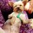 Small_lazydog's profile image