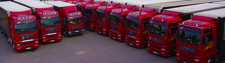 MTLLemgo's profile picture. 