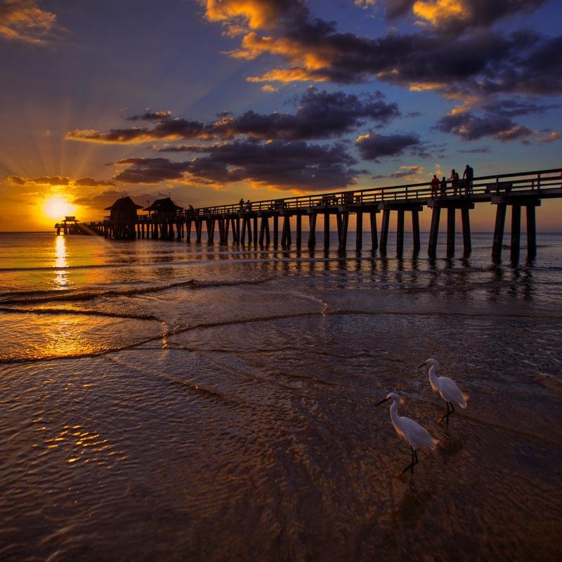 davids4114's profile picture. 