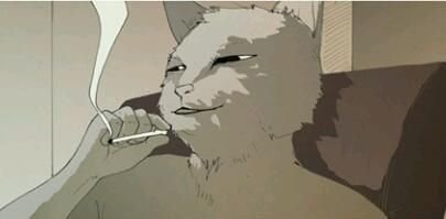 cinedkn's profile picture. 