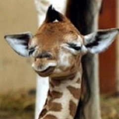 クリエイティブ土方