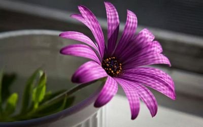 إن لم تعرفني فأكرمني بحُسن ظنّك ؛ فحُسن الظّن راحة 
لا يعرفها إلا من جربها ؛ فأحسنوا الظّن تطيب حياتكم ..ღ