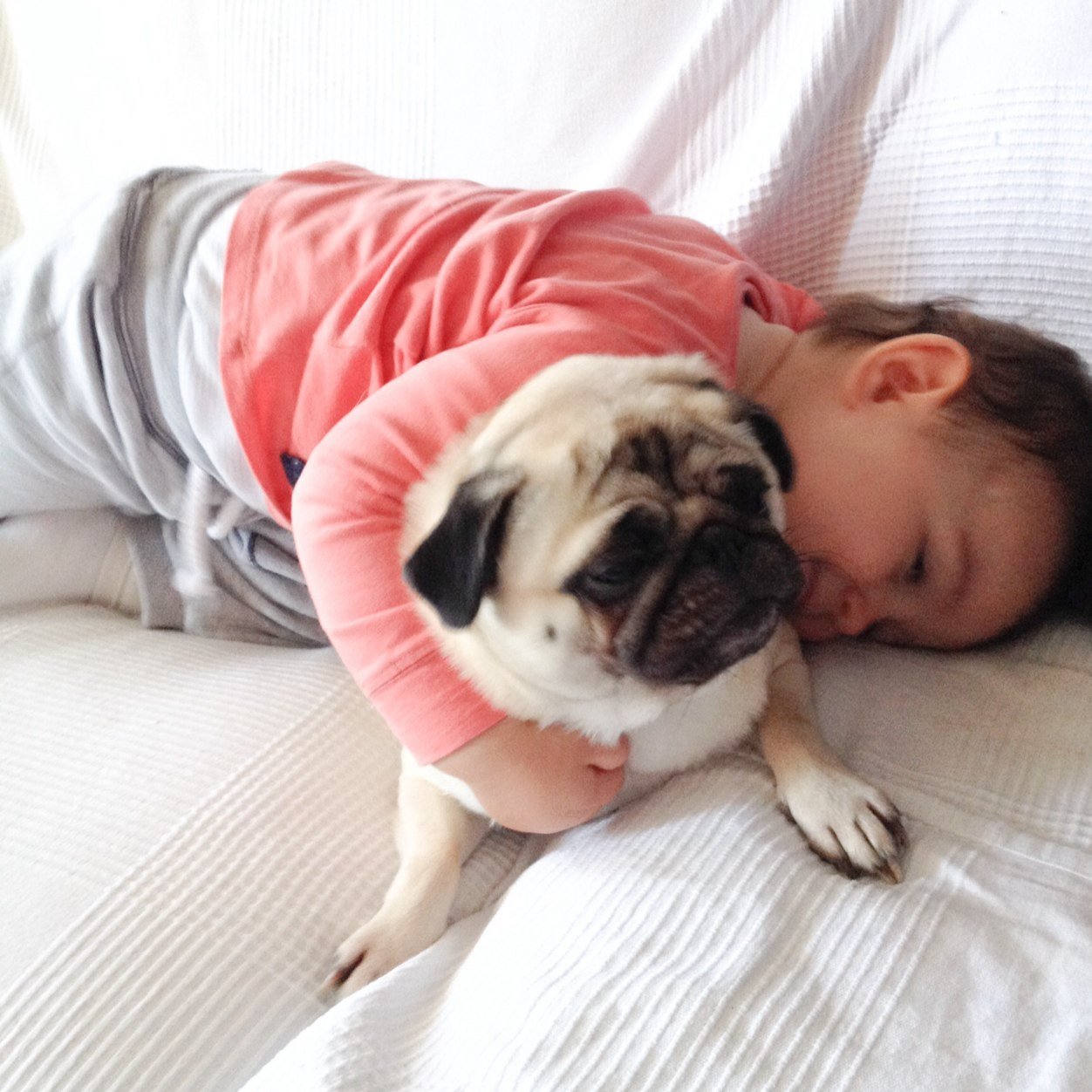 #happyfamily #workingmum #cookiethepug #pug #fashion #beauty #paris