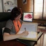 MERCHEMix's profile picture. Eventos