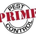 PrimePest's profile picture. 24/7 pest control services in the Inland Northwest. Tweeting about the pestier things in life.