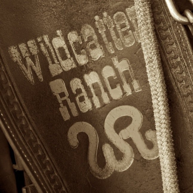 A 1,500 acre upscale guest ranch and conference center west of Fort Worth, Texas with lodging, activities and great Texas cuisine.
