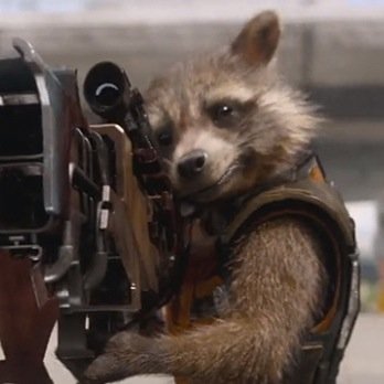 A guardian of the galaxy. Dont call me your pet because im not, also dont call me vermin, hamster, or rodent. My friend is Groot. (RP account)