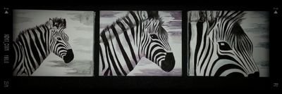 OmdreaW's profile picture. Artist, writer, director, teacher, mom, wife, cancer warrior mom, lover of nature, people and all things creative. Make it count.