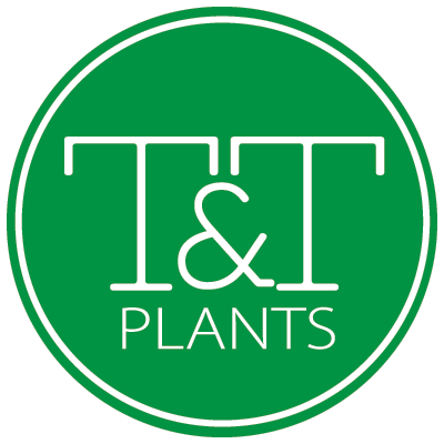 TriedTruePlants Profile Picture