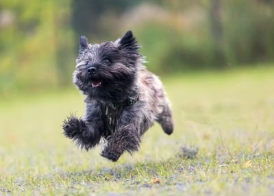 jonjjk2010's profile picture. 