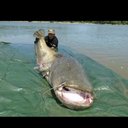 Tanner Walz - @walzy14 - Twitter