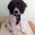 Joanne Wright (@tinofpeas1892) Twitter profile photo