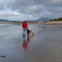 Brian Hefferan (@bhefferan) 's Twitter Profile