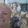 cwiss12's profile picture. love animals, grandchildren, and President Trump xoxoxo