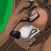 Furry, Bear, tech nut. painfully liberal.