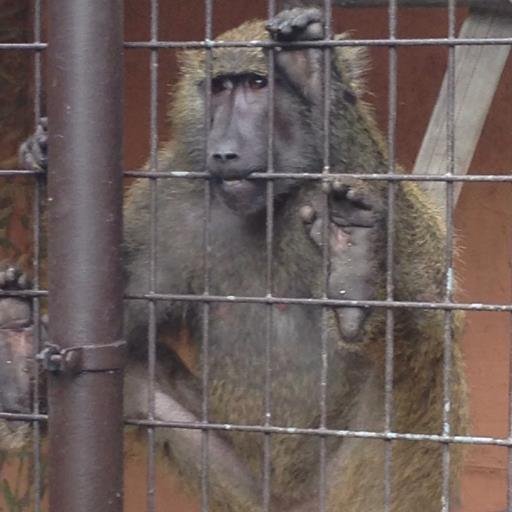 beyndhope's profile picture. Local milk person