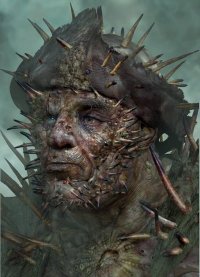 Roddiesloan's profile picture. Sea urchin diver and ocean explorer  in Arctic Norway