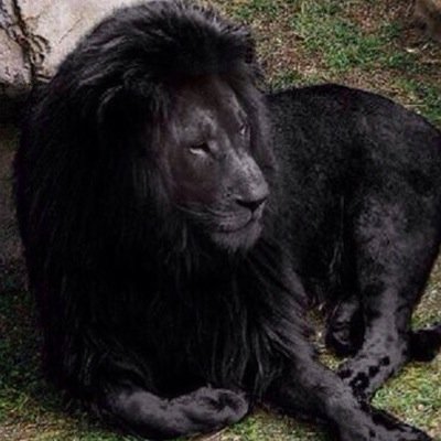 three5monop's profile picture. Official twitter page of the three5monop enterprise