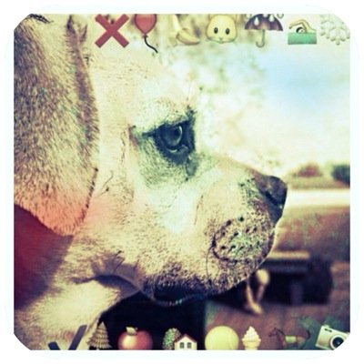 @discodirtbag ! - backup account-