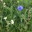 HordleParish's profile image