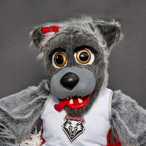 Welcome to the Official Twitter account for Lobo Lucy. One of The University of New Mexico's mascots. My brother is @NMLoboLouie. #GoLobos