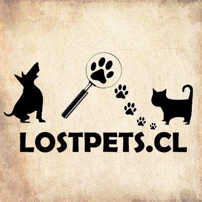 Lostpets.cl Profile