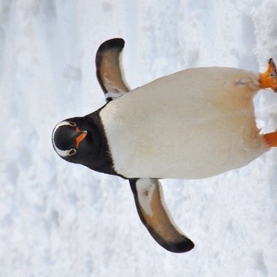 BradeBradeworks's profile picture. 