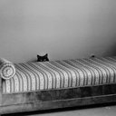 Adam Willner - @ABaltard - Twitter