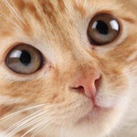 codemaster267's profile picture. 