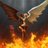 Hina_Cassia's profile image