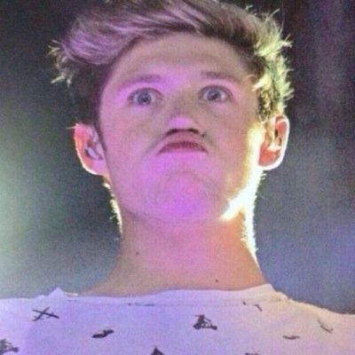 follow @lionniall