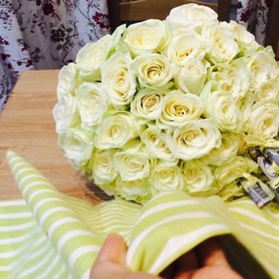 لايجب علينا التوقف عن السعي والمحاولة في هذه الحياةHMH.