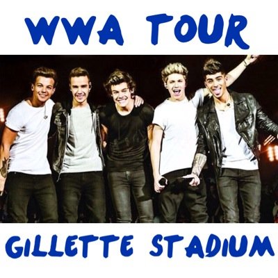 august 7th & 8th & 9th ♡ have questions? ask! we'll try our best to answer :) ♡ trying to make your concert the best night ever
