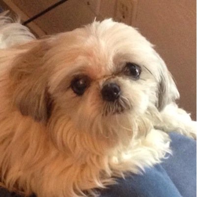 Darewood2u's profile picture. What do you want to know?