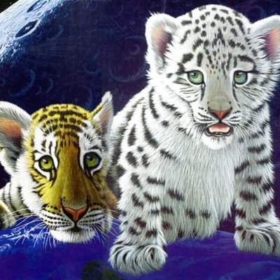 patkat69's profile picture. 