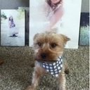 Ella Erickson - @EllaSamiam96 - Twitter