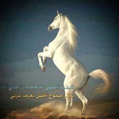 قبلتها بين العيون وهدت لي...علی يدي تلعب طرب واتهيا ...في عينها اقرأرجالن بكت لي ...وتقرابعيني مجد خيل المحيا
