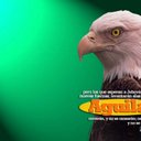 Sergio marcus - @sergime75 - Twitter